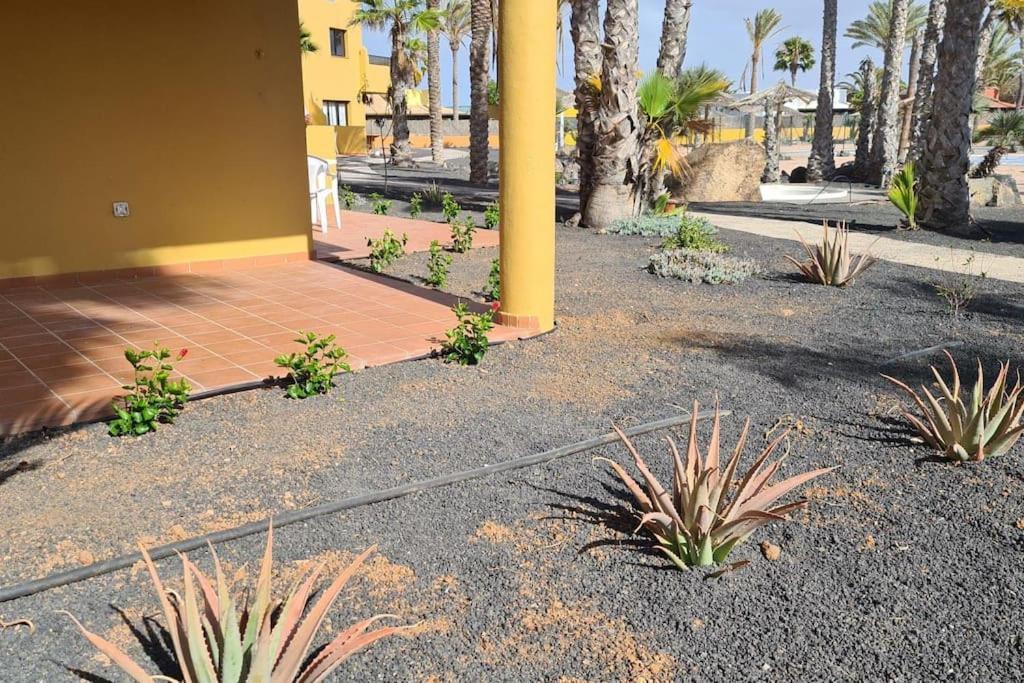 דירות קורלחו Beautiful Garden Flat Nearly Refurbished Free Wifi מראה חיצוני תמונה